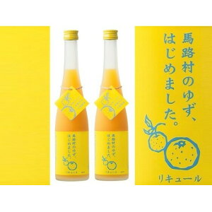 yӂ邳Ɣ[Łz䂸~@500ml×2{@聄  m L[