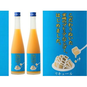yӂ邳Ɣ[Łz}S[~@500ml×2{@聄  m L[