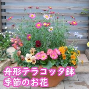 yӂ邳Ɣ[ŁzsN̂ԂՂ̊񂹐A
