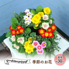 【ふるさと納税】花 季節のお花 サークルハンギング 植物 インテリア　【朝倉市】