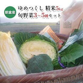 【ふるさと納税】米 5kg 季節野菜 セット 精米 ゆめつくし　【お米・野菜・セット・詰合せ】