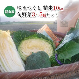 【ふるさと納税】米 10kg 季節野菜 セット 精米 ゆめつくし お米 詰合せ