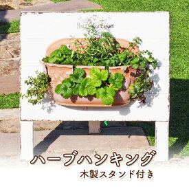 【ふるさと納税】植物 ハーブのハンキング 木製スタンド付き ハーブ インテリア ガーデン　【朝倉市】