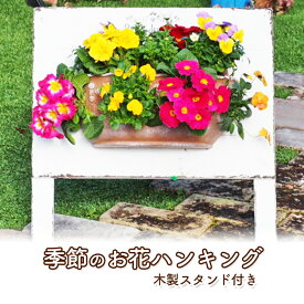 【ふるさと納税】植物 季節のお花のハンキング 木製スタンド付き 花 インテリア ガーデン　【朝倉市】