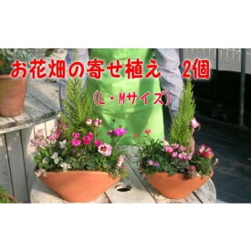 【ふるさと納税】植木 寄植え 可愛いお花畑の寄せ植え L・Mサイズ 2個セット 配送不可 北海道 沖縄 離島　【花・植物】