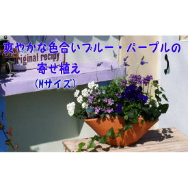 【ふるさと納税】ブルー・パープルの寄せ植え（舟形Mサイズ）1個　【花・植物】