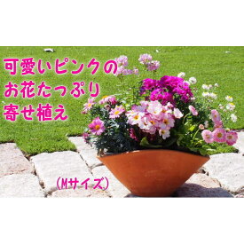 【ふるさと納税】可愛いピンクのお花たっぷりの寄せ植え（舟形Mサイズ）1個　【花・植物】