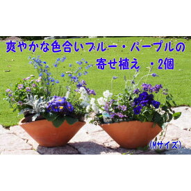【ふるさと納税】ブルー・パープルの寄せ植え（舟形Mサイズ）2個　【花・植物】