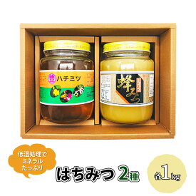 【ふるさと納税】はちみつ セット 各1kg×2個 レンゲブレンド 野山のハチミツ 詰め合わせ 食べ比べ 蜂蜜 ハチミツ　【朝倉市】