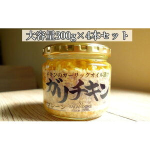 yӂ邳Ɣ[ŁzyK`L-v[z`L̃K[bNICЂ_v[ie300gj4{Zbg  ʋl
