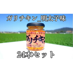 yӂ邳Ɣ[ŁzyK`L-qz`L̃K[bNICЂ_qiWTCY110gj24{Zbg  ʋl