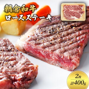 yӂ邳Ɣ[Łzq qa@[XXe[L@2@v400g zsF  