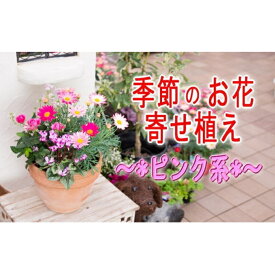 【ふるさと納税】季節のお花寄せ植え(赤・ピンク系)　【植物・花】