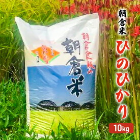 【ふるさと納税】米 10kg 朝倉米 ひのひかり こめ コメ お米 白米　【朝倉市】