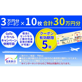 【ふるさと納税】日本旅行　地域限定旅行クーポン【300，000円分】　【旅行・チケット】