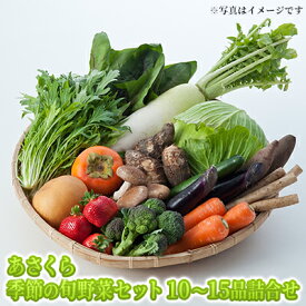 【ふるさと納税】野菜セット おまかせ 10～15種 旬 朝倉市産 着日指定不可 配送不可 離島 詰合せ
