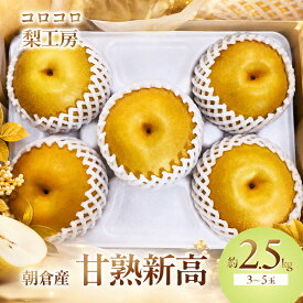 【ふるさと納税】梨 新高梨 甘熟 味に自信あり！！約2.5kg 3～5玉入 配送不可 離島 ナシ 果物 フルーツ 先行予約 　お届け：2026年9月10日～10月30日