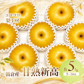 【ふるさと納税】梨 新高梨 甘熟 味に自信あり！！約5kg 5～10玉入 配送不可 離島 ナシ 果物 フルーツ 先行予約 　お届け：2026年9月10日～10月30日