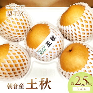 yӂ邳Ɣ[Łz H ܂ŐHׂ關W[XII2.5kg 3`6ʓ iV ʕ t[c s\ @͂F2025N1010`1110