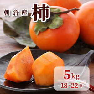 yӂ邳Ɣ[Łz` 5kg q ς`񉮂̊` ʕ  @͂F2025N11{`12{
