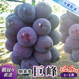 【ふるさと納税】巨峰 2024年発送 約2.5kg 旬菜板屋 配送不可 離島 果物類 ぶどう フルーツ 　お届け：2025年8月中旬～9月下旬