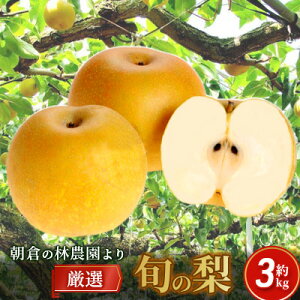 yӂ邳Ɣ[Łz qY {̗ 3kg є_ zs  iV ʕ t[c s\ @͂F2025N8{`2026N1{
