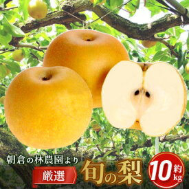 【ふるさと納税】梨 朝倉産 旬の梨 約10kg 林農園 配送不可 離島 ナシ 果物 フルーツ 減農薬栽培 　お届け：2025年8月中旬～2026年1月中旬