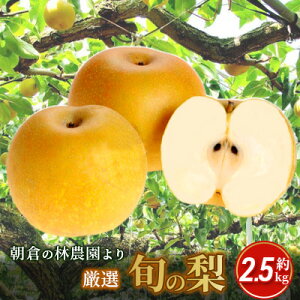 yӂ邳Ɣ[Łz qY {̗ 2.5kg є_ zs  iV ʕ t[c _͔| @͂F2025N8{`2026N1{