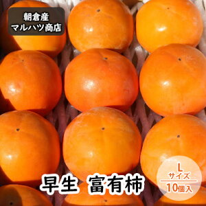 yӂ邳Ɣ[Łz` xL`  LTCY×10 }ncX ʕ  @͂F2025N10{`11{