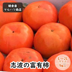 yӂ邳Ɣ[Łz` ug̕xL` L`2LTCY×9 }ncX ʕ  @͂F2025N11{`11{