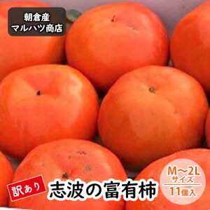 yӂ邳Ɣ[Łz󂠂 ` ug̕xL` M`2LTCY×11 }ncX ʕ  @͂F2025N11{`11{