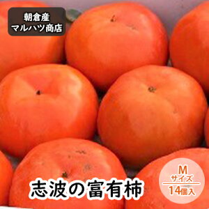 yӂ邳Ɣ[Łz` ug̕xL` MTCY×14 }ncX ʕ  @͂F2025N11{`11{