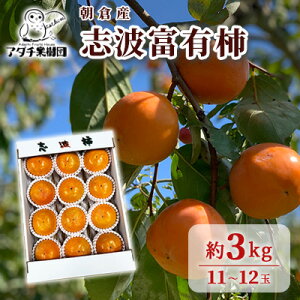 yӂ邳Ɣ[Łz` ug xL` 3kg 11`12 ʕ  @͂F2025N11{`12{