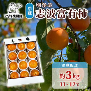 yӂ邳Ɣ[Łz` ug xL` ① 3kg 11`12 zs  ʕ  @͂F2025N12{`2026N131