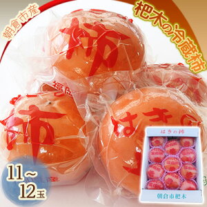 yӂ邳Ɣ[Łz` ①` 11`12 t@[Xe[VoT ʕ  @͂F2025N12{`2026N1{