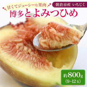 yӂ邳Ɣ[Łz t[c Ƃ݂Ђ 800g 2026N    v~A ʕ  fU[g }O_ zs  @͂F2026N7{`7