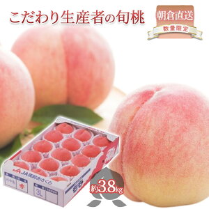 yӂ邳Ɣ[Łz     3.8kg 2026N  t[c ʕ  fU[g }O_ ICό zs @͂F2026N7{`8{