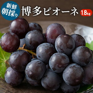 yӂ邳Ɣ[ŁzԂǂ 햳Ԃǂ  sI[l 1.8kg 2026N  uhE  t[c ʕ  fU[g }O_ zs @͂F2026N7{`8{
