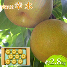 【ふるさと納税】梨 幸水 2.8kg 2026年 発送 なし フルーツ 果物 くだもの デザート 筑前あさくら農協 配送不可 離島　お届け：2026年7月中旬～8月上旬