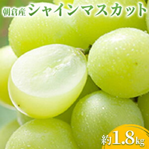 yӂ邳Ɣ[ŁzVC}XJbg }XJbg Ԃǂ 1.8kg 2025N   uhE t[c ʕ  fU[g }O_ zs  @͂F2026N8{`9{