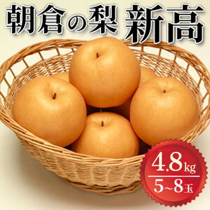 yӂ邳Ɣ[Łz 2025N V 4.8kg }O_ zs @͂F2025N9{`10{