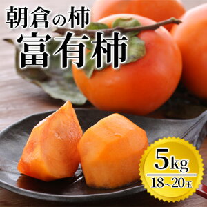 yӂ邳Ɣ[Łz` xL` 5kg }O_ zs  ʕ  @͂F2025N11{`12{