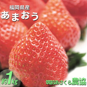 yӂ邳Ɣ[Łz ܂ Y 1kg 250g×4pbN }O_ zs  ʕ  C`S zԁF2026N1{`3{@͂F2026N1{`3{