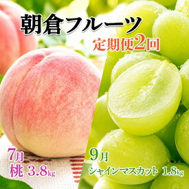 【ふるさと納税】限定 数量 定期便 2回 桃 シャインマスカット 2027年 発送 フルーツ 夏のフルーツ定期便 果物 もも モモ マスカット デザート 朝倉 ※配送不可 離島　お届け：2027年7月上旬～9月中旬