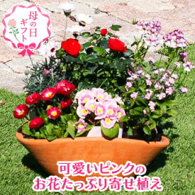 【ふるさと納税】【母の日 ギフト】可愛いピンクのお花たっぷりの 寄せ植え（舟形Mサイズ）1個（オンライン決済限定） 植物 　お届け：2026年4月25日～5月7日