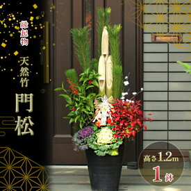 【ふるさと納税】門松 お正月 天然 竹 高さ1.2m 1鉢 配送不可 北海道 沖縄 離島 植物 　お届け：2025年12月20日～12月25日