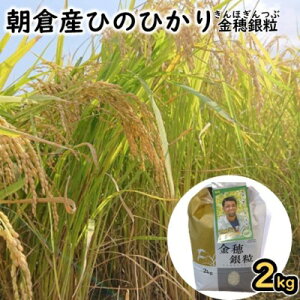 yӂ邳Ɣ[ŁzʎȂ̂ɕĂ kJ؂ꔲQIߘa4NxYs◱iقԁjt Y Ђ̂Ђ 2kg  @͂F2025N11`2026N5