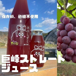 yӂ邳Ɣ[ŁzY  Xg[g W[X `AsaShizuku` ʏ` ؈ ԂǂW[X uhE