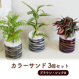 【ふるさと納税】カラーサンド 3個 セット ブラウン・シック系 植物 インテリア ガーデン