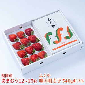 yӂ邳Ɣ[Łz ܂ Y 12`15 Mtg  300gӂ ̖q 540g zs  ʕ  C`S L @͂F2025N12{`2026N3ɂď